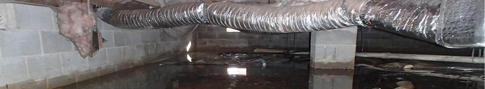 Wet Crawl Space Cleanup in Farmington Hills & Livonia