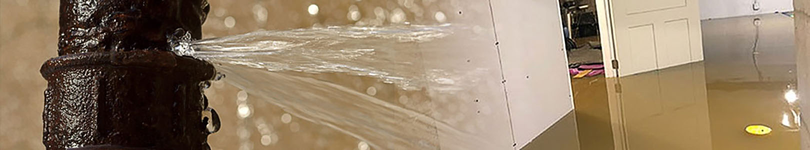 Pipe Leak Cleanup Service in Commerce & Farmington Hills