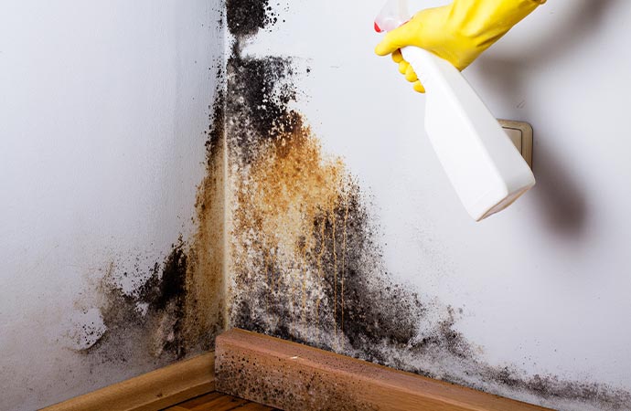 Preventing mold infestation