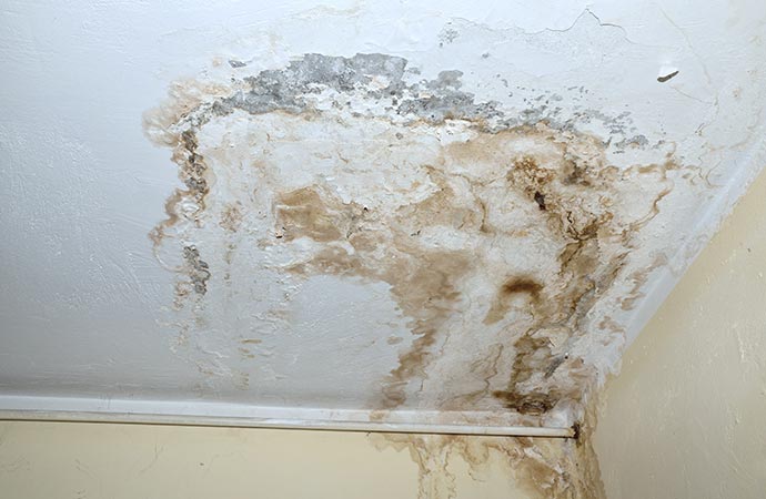 Mold on the ceiling