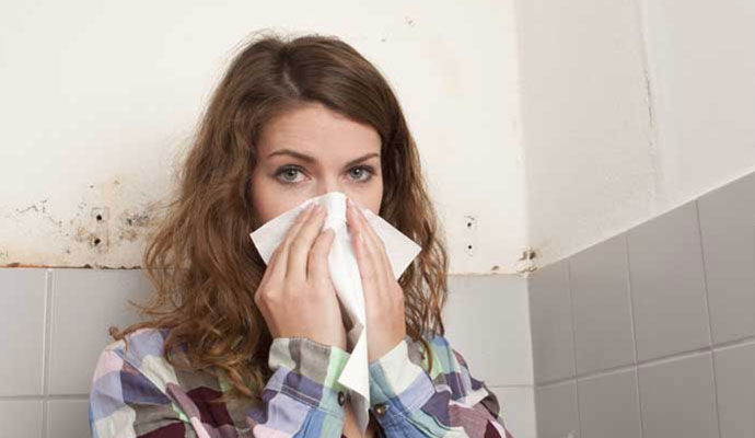 Health Effects of Mold throughout Detroit, Pontiac & Oakland, MI