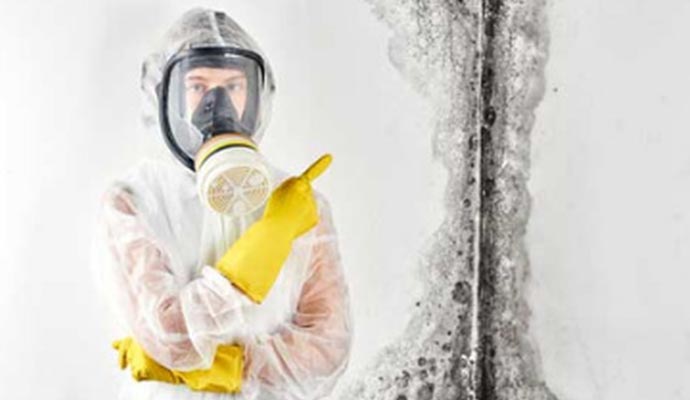 Mold Removal Service Detroit