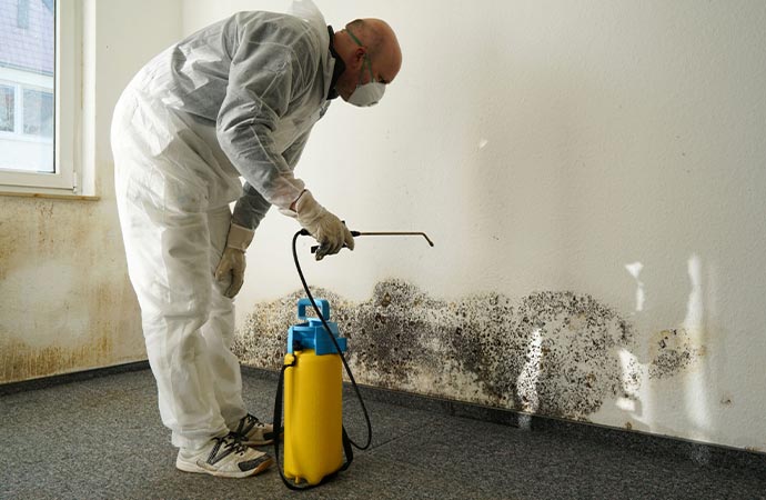 professional worker mold removal and remediation
