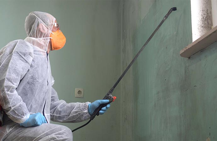 removing mold professional disinfector cleans and sprays mold cleanup