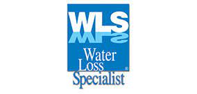 WLS Logo