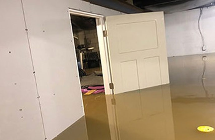 Water Damage Restoration Yatala