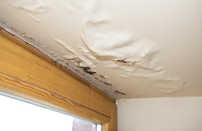 Ceiling water damage restoration