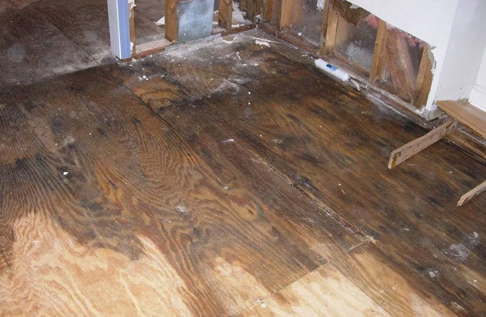 Water damage restoration service for restaurant