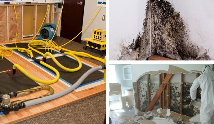 Attics & Roofs, Bathroom and Floors and Walls Structural Damage