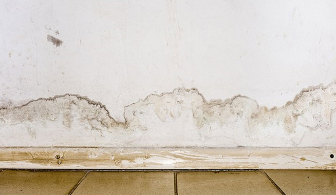 Signs of Drywall Water Damage