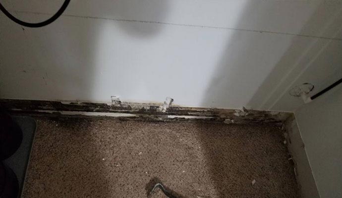 Mold Damage from Leak