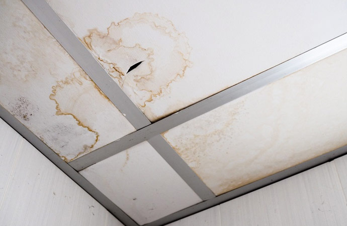 Wet Ceiling Repair