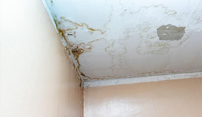 white celing water leak damage