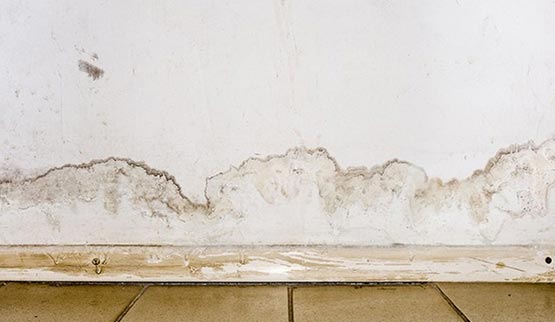 white drywall water and mold damage