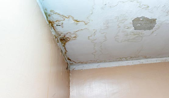 white peeling celing mold and water leak damage